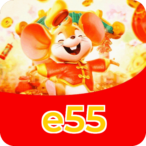 e55 apostas — dados e LGPD no site